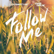 PULSEDRIVER & CHRIS DEELAY - Follow Me